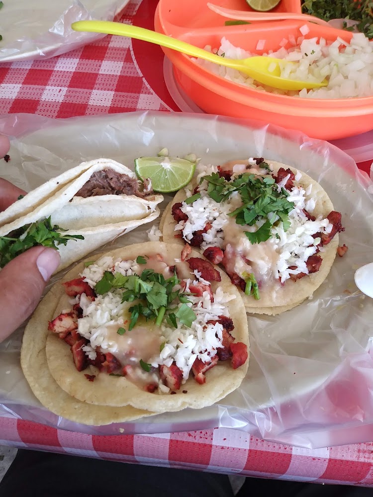 Tacos de cabeza el callejon