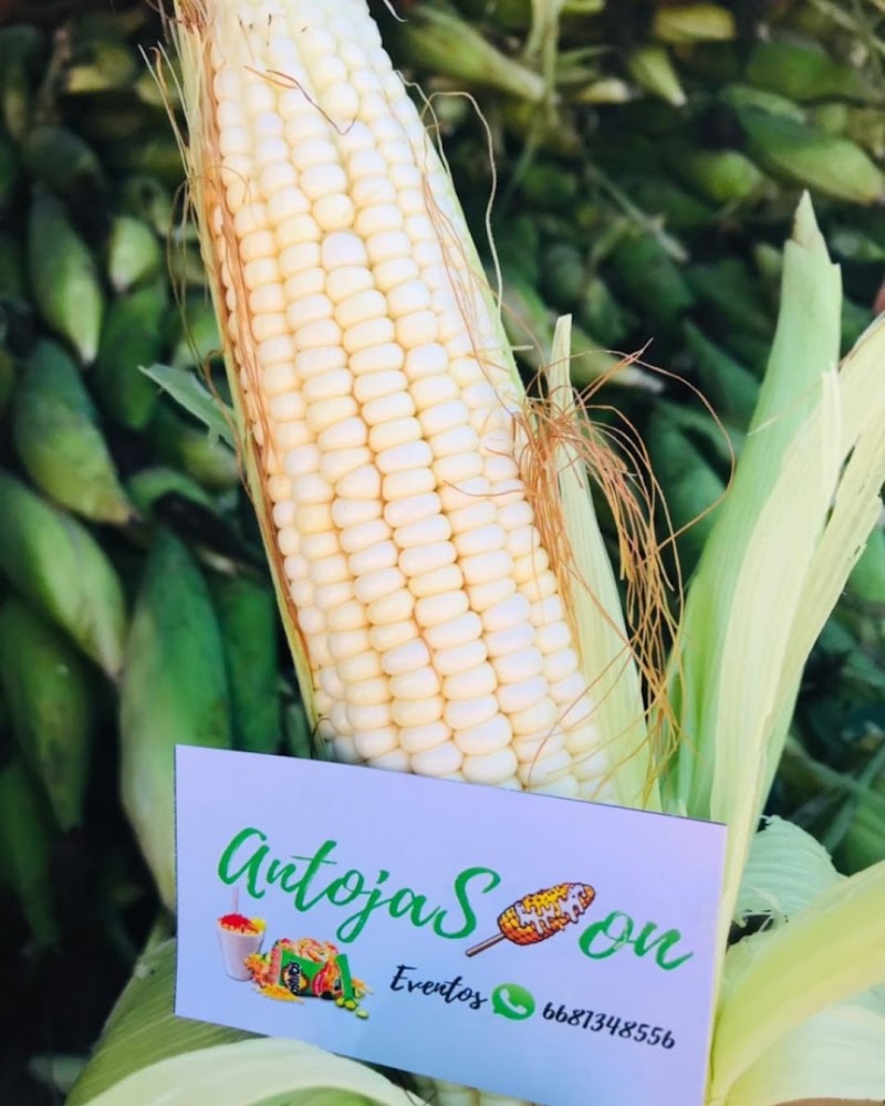 Elotes AntojaSión