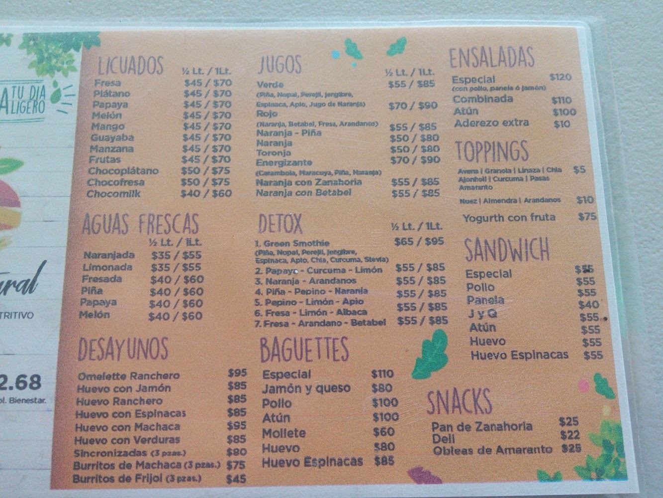 Jugos Licuados" Vive Natural"