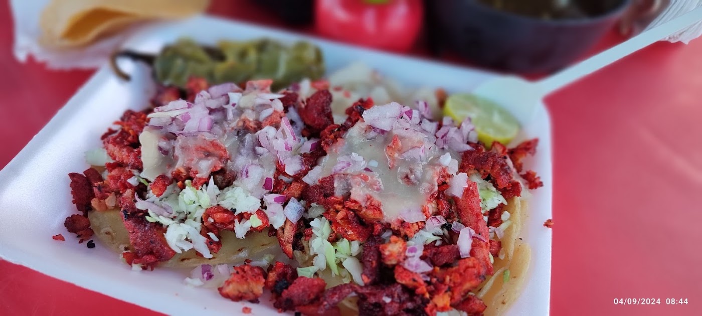 Tacos de adobada El buen sabor 2