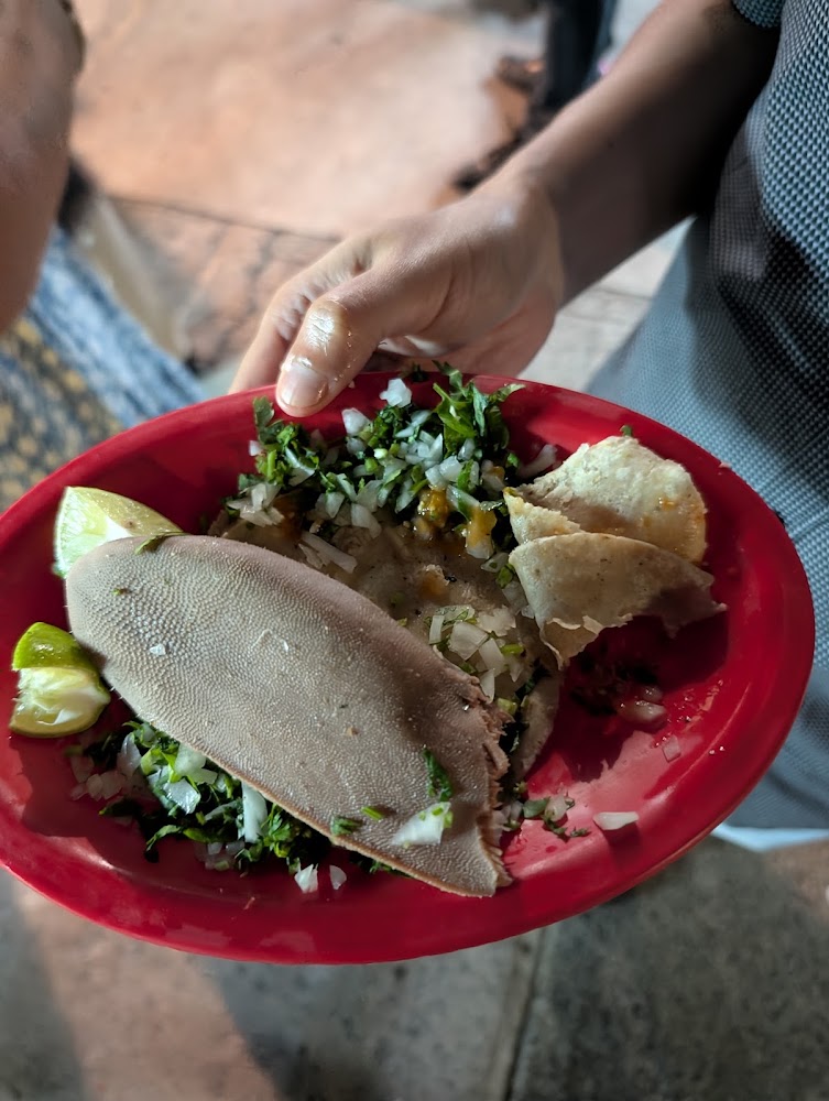Tacos Luis