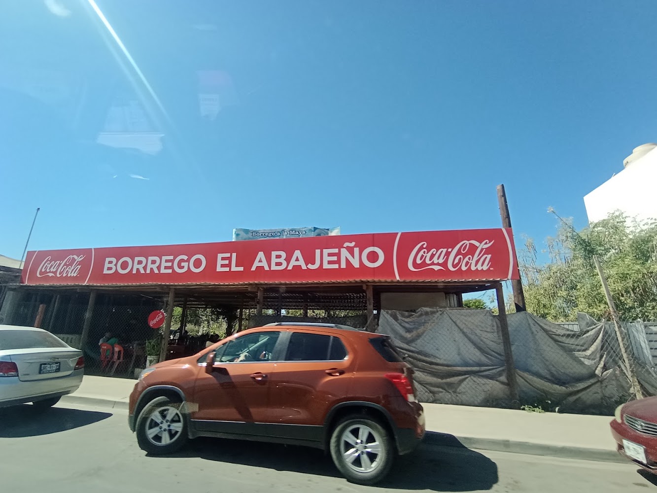 Borrego Ala Maya el Abajeño