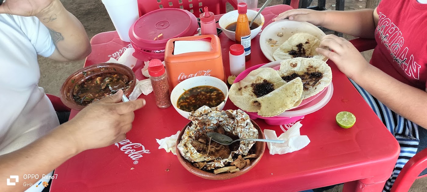 Borrego Ala Maya el Abajeño