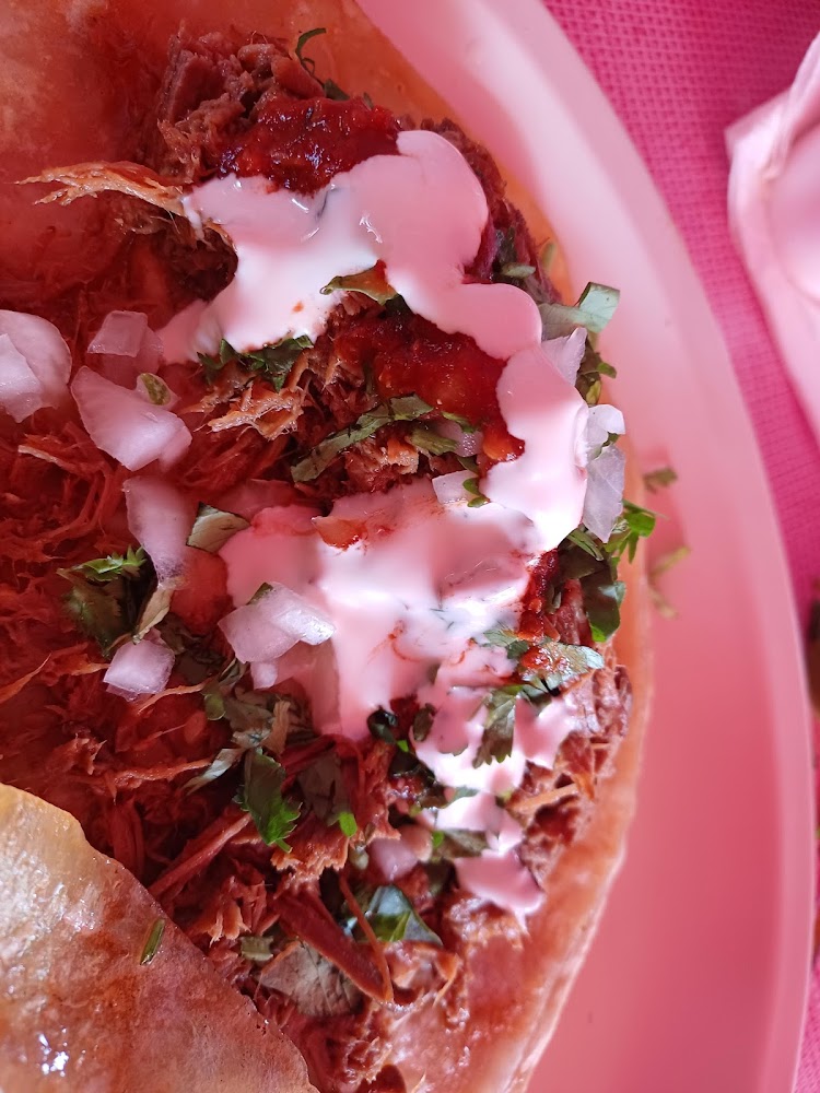 Tacos de Birria Los Sapitos