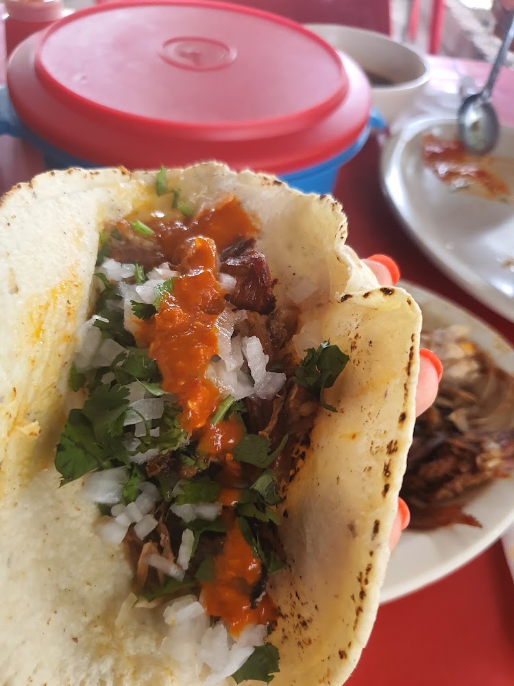 El Sapito