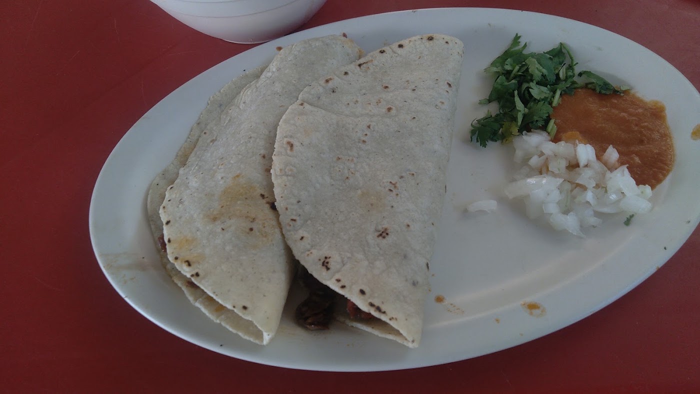 El Sapito