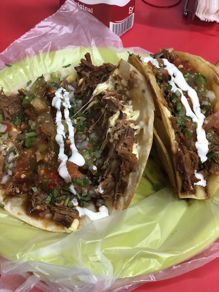 Tacos de birria “ taco loko “