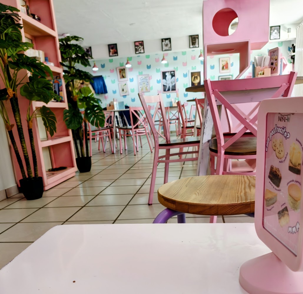 Neko-hi Café