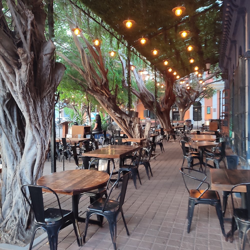 El Cielo Restaurant Bar Plazuela Machado