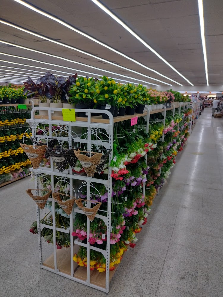 Tienda China Plus