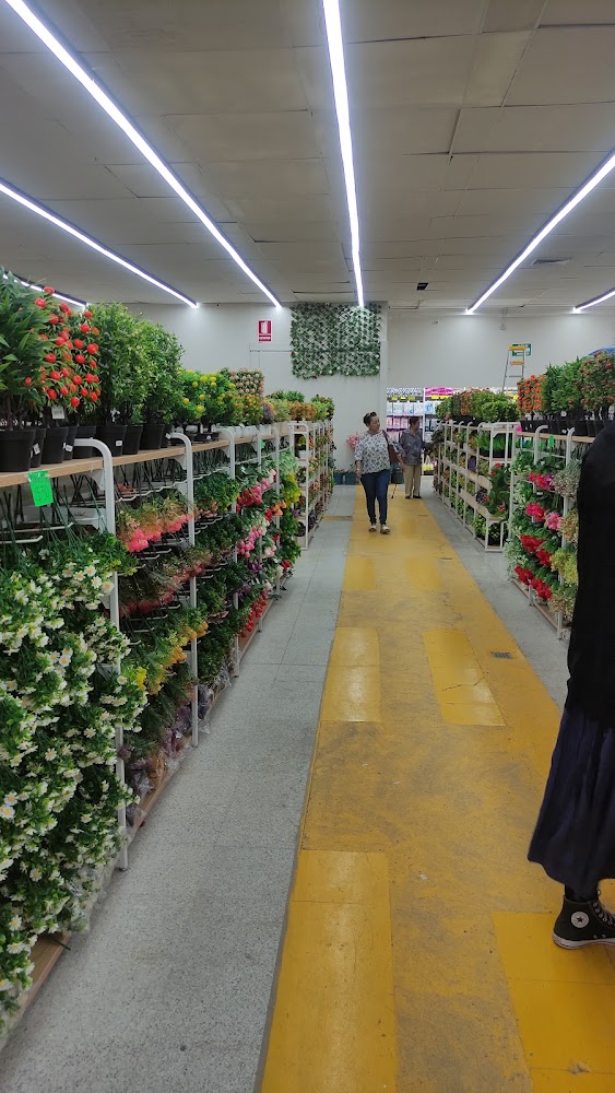 Tienda China Plus