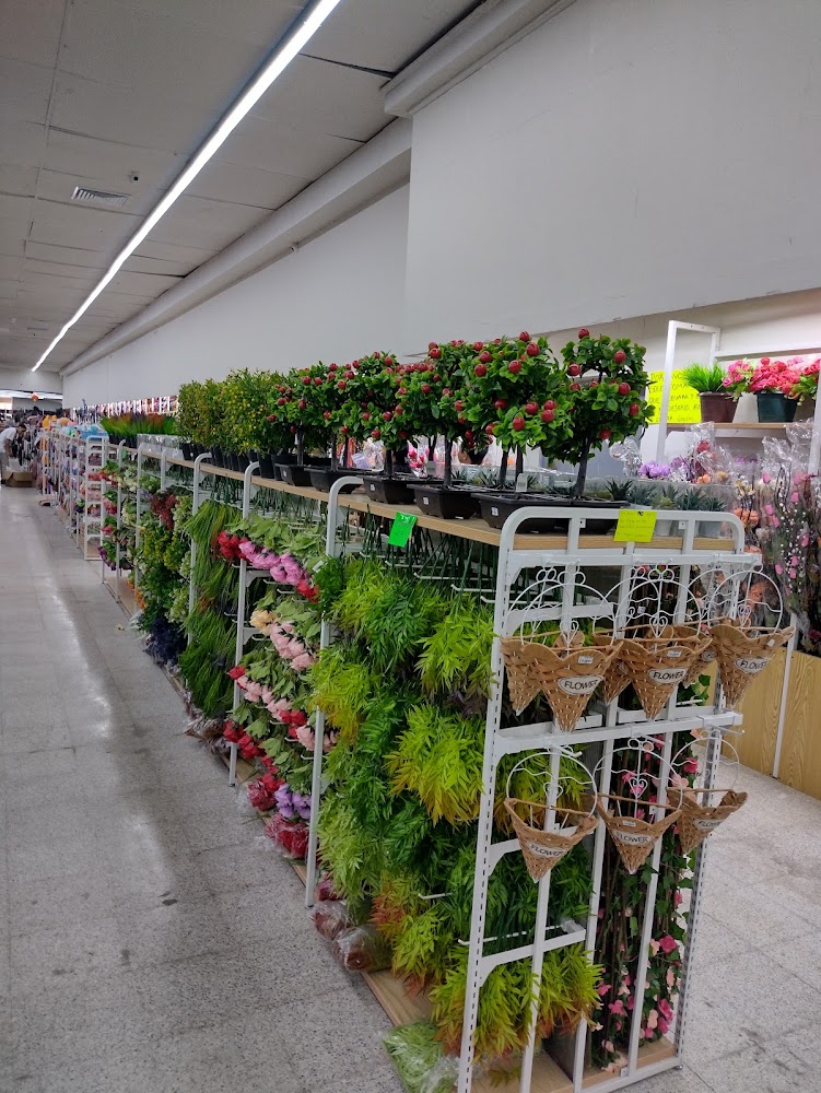 Tienda China Plus