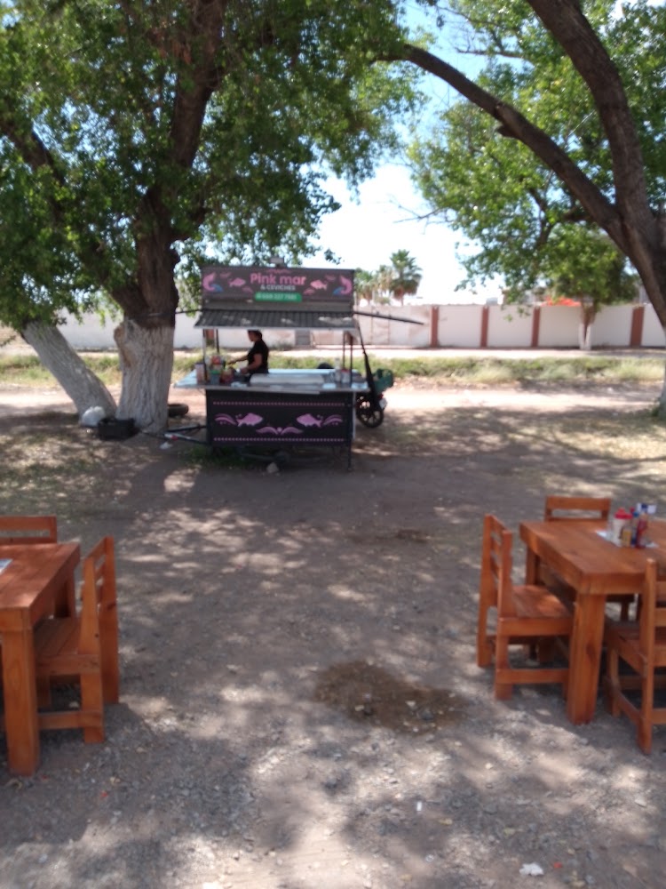 Pinkmar y ceviches