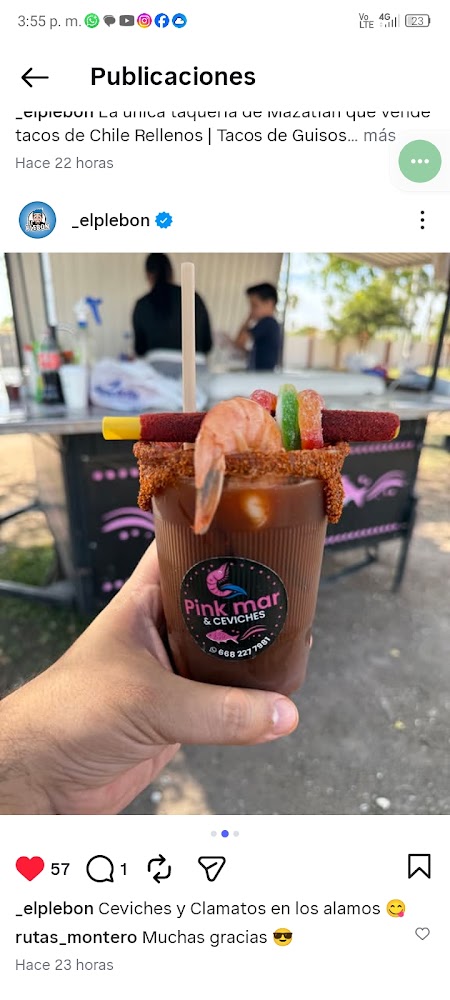 Pinkmar y ceviches