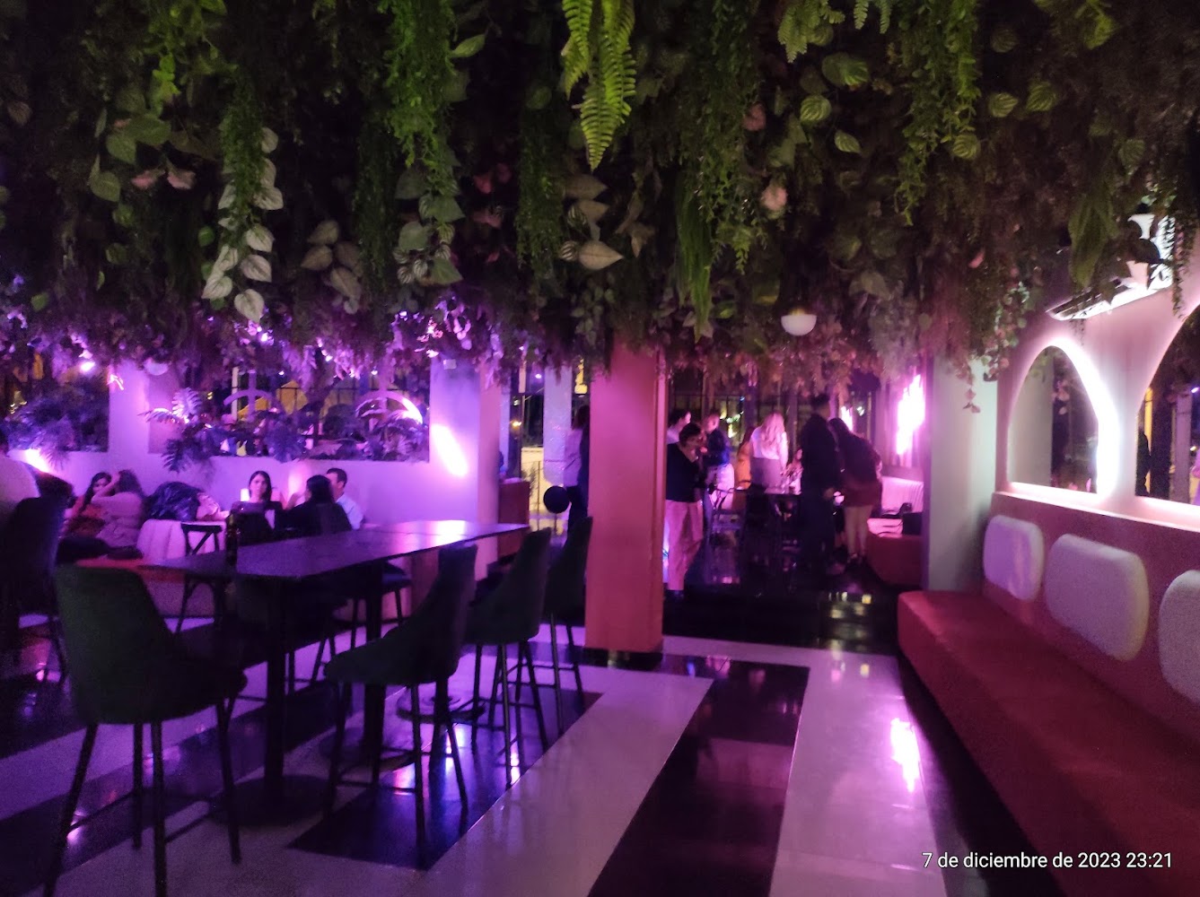 Margo Social Club