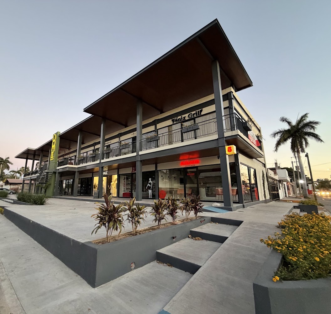 Ailur Coffee House
