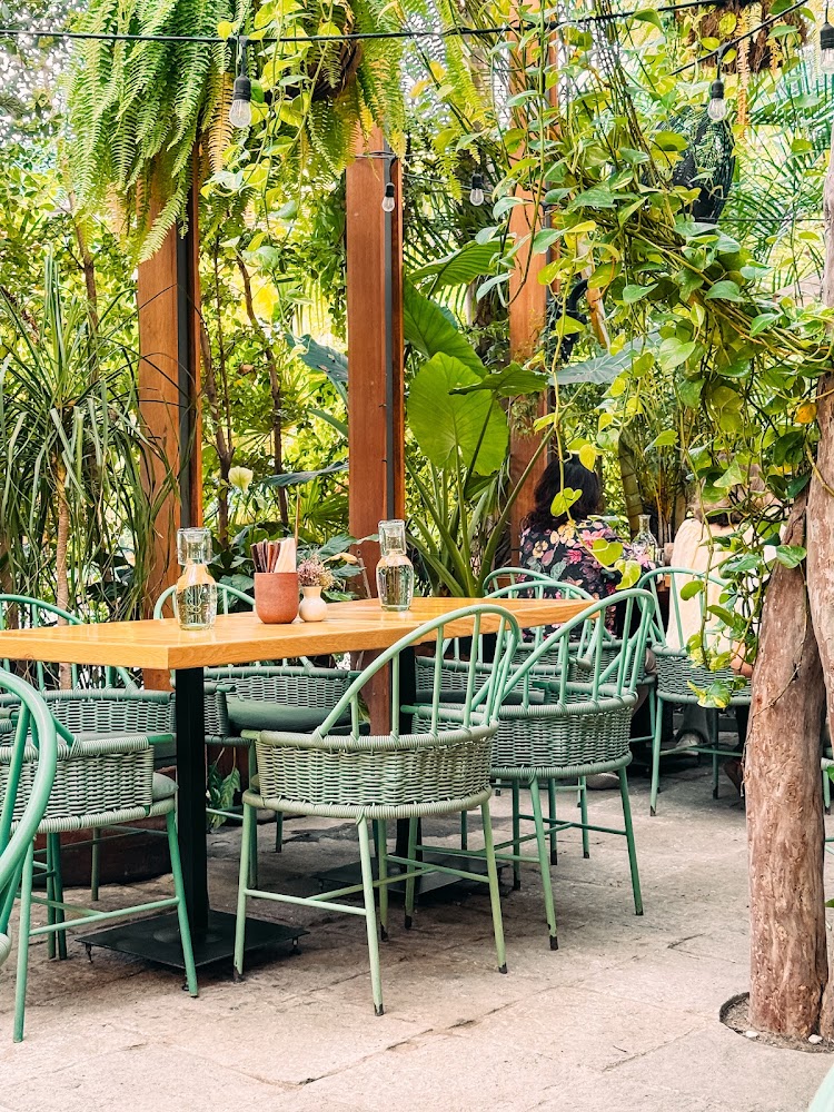 Damiana, Café y Libros