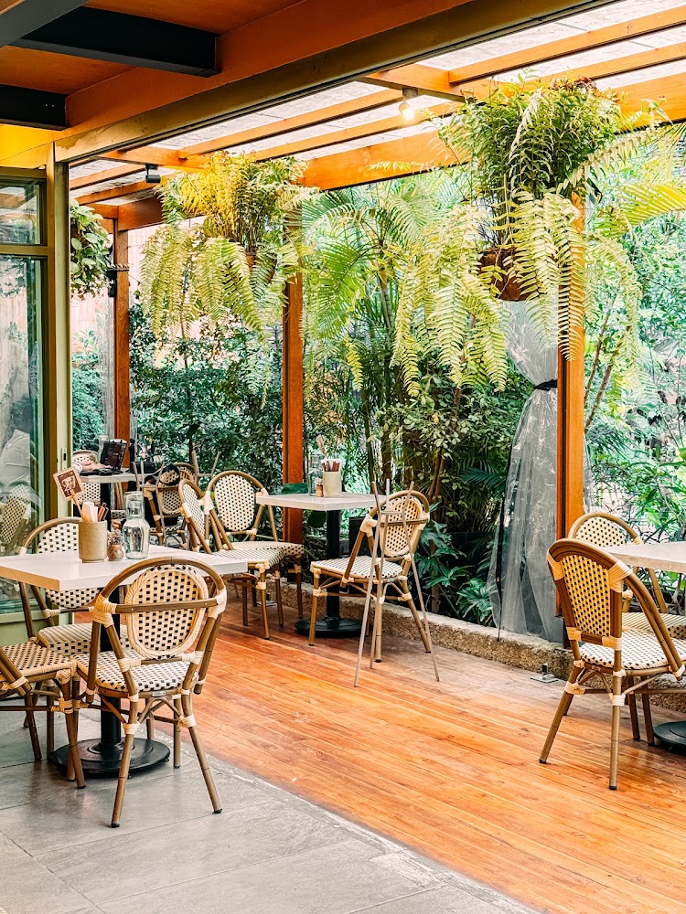 Damiana, Café y Libros