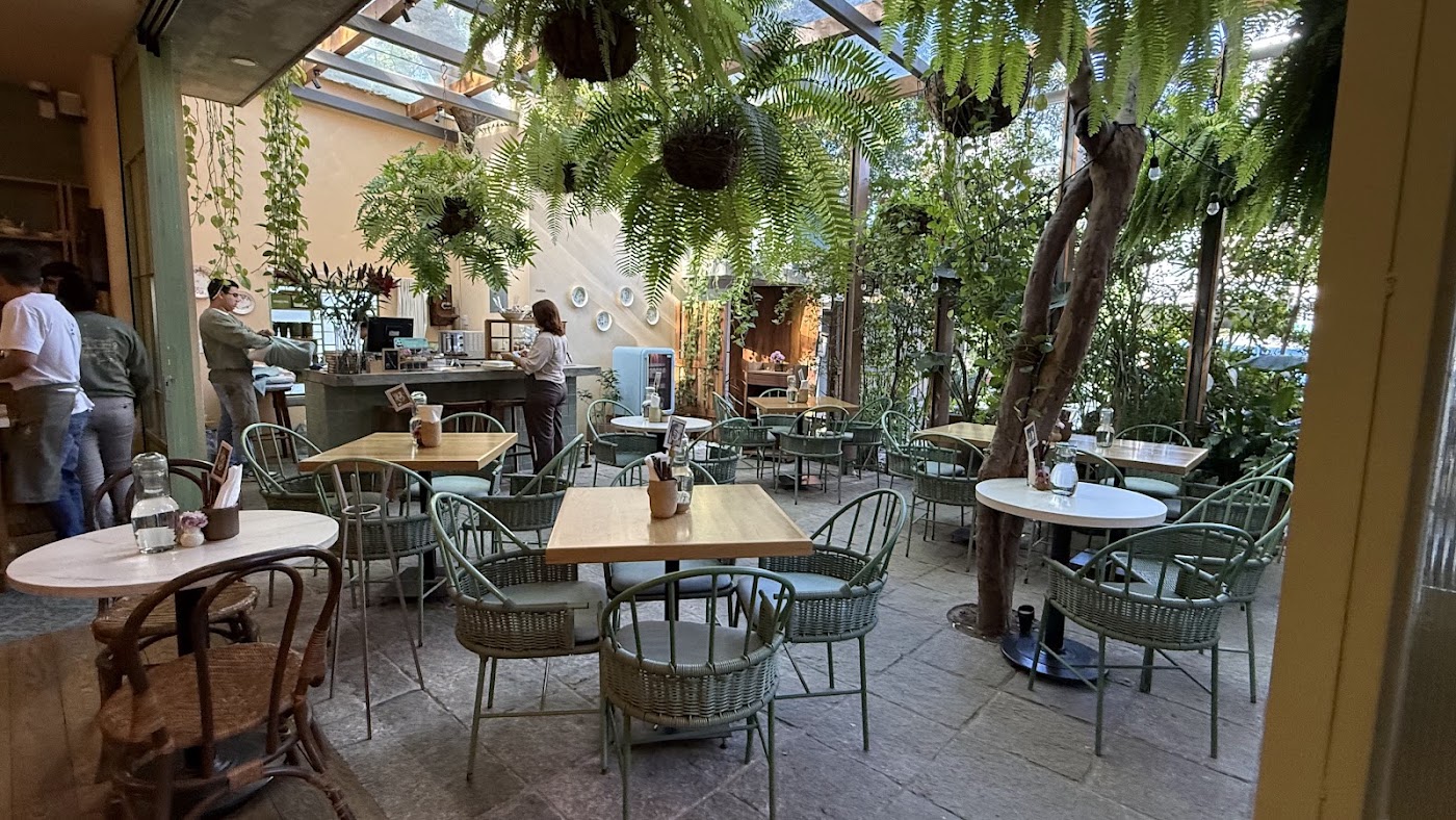 Damiana, Café y Libros