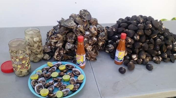 Mariscos El Viagras JC