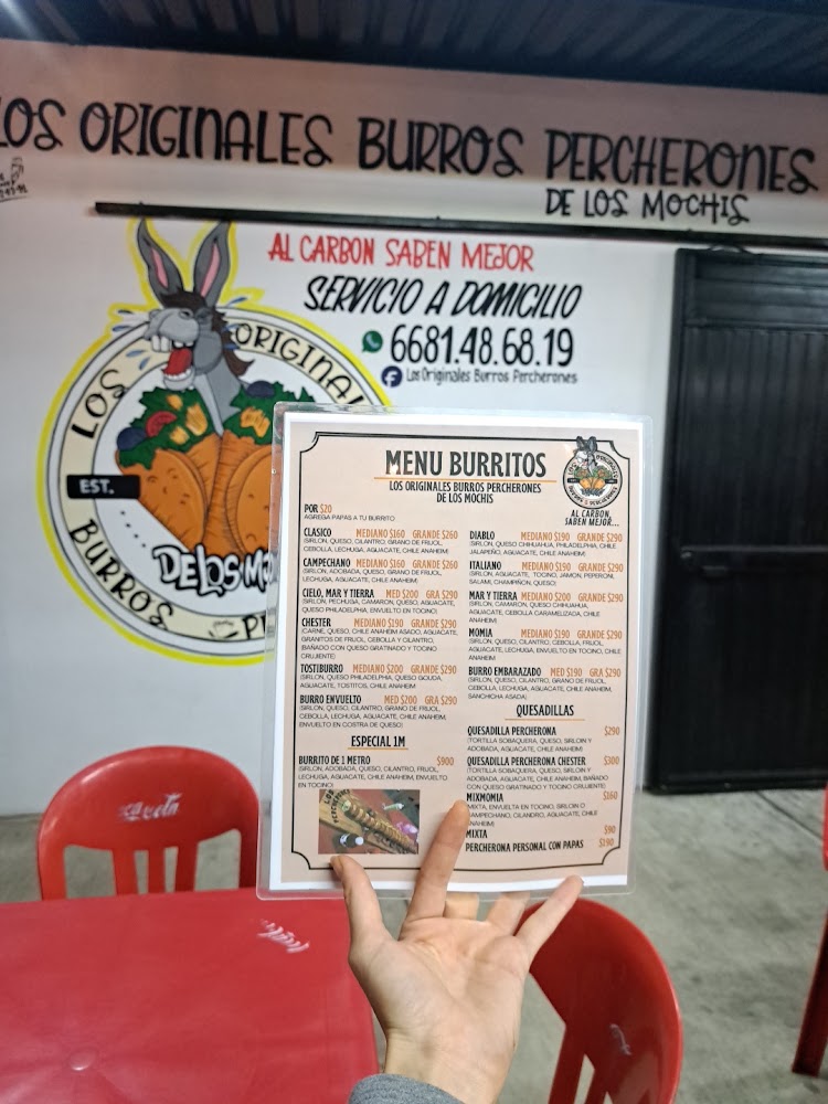 Los originales burros percherones