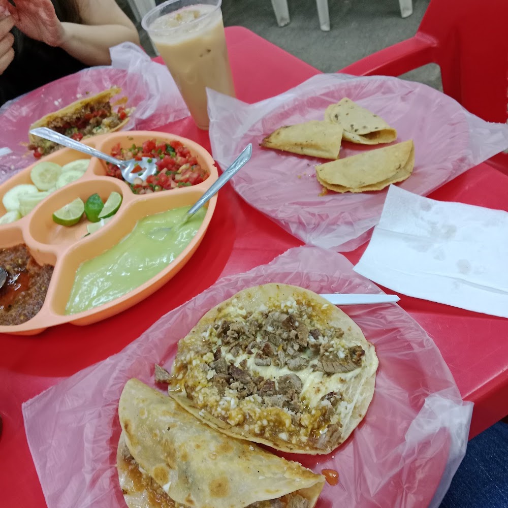 Mochitacos - Tacos Cebosos