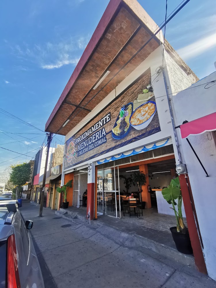 Los Muchachos de Zapopan Menuderia Parque Metropolitano