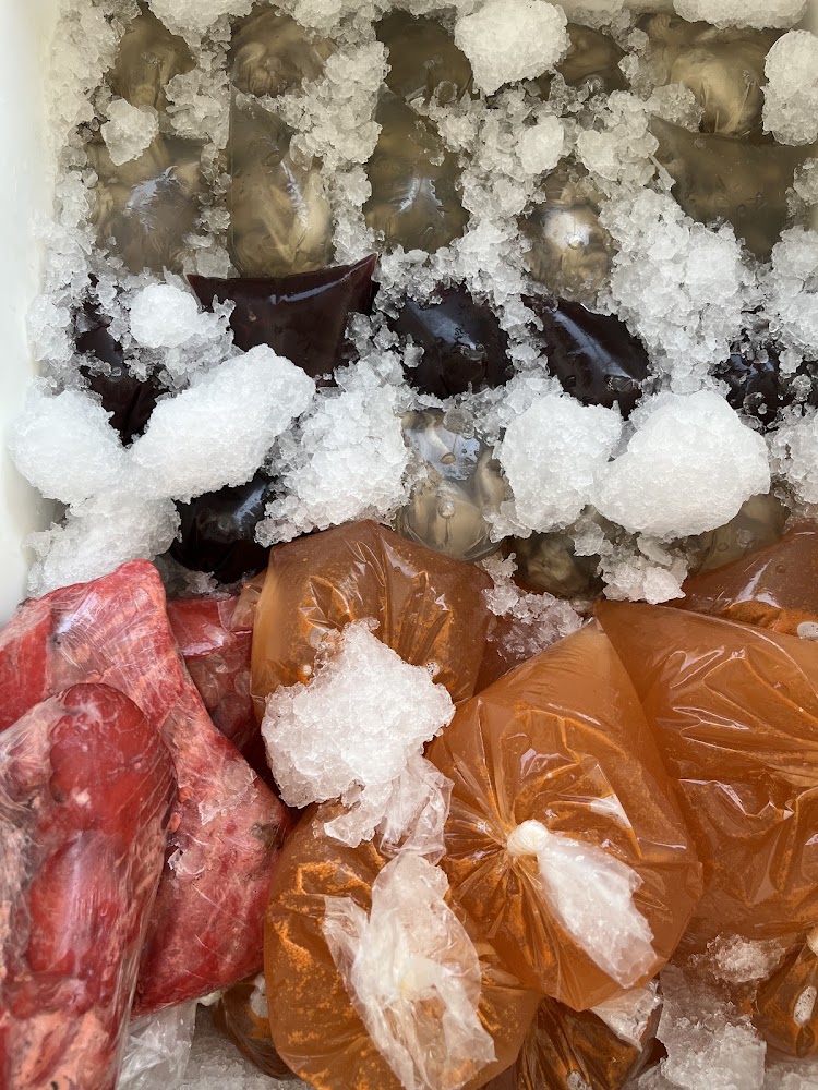 Pescaderia El Capitan
