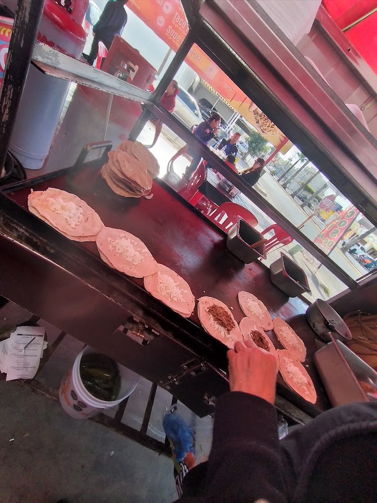 Tacos de birria el ciego