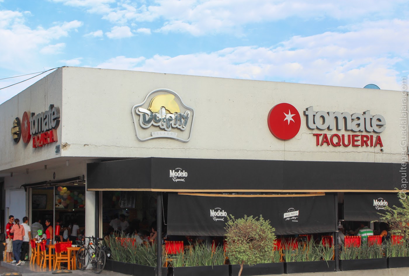 TOMATE Taquería