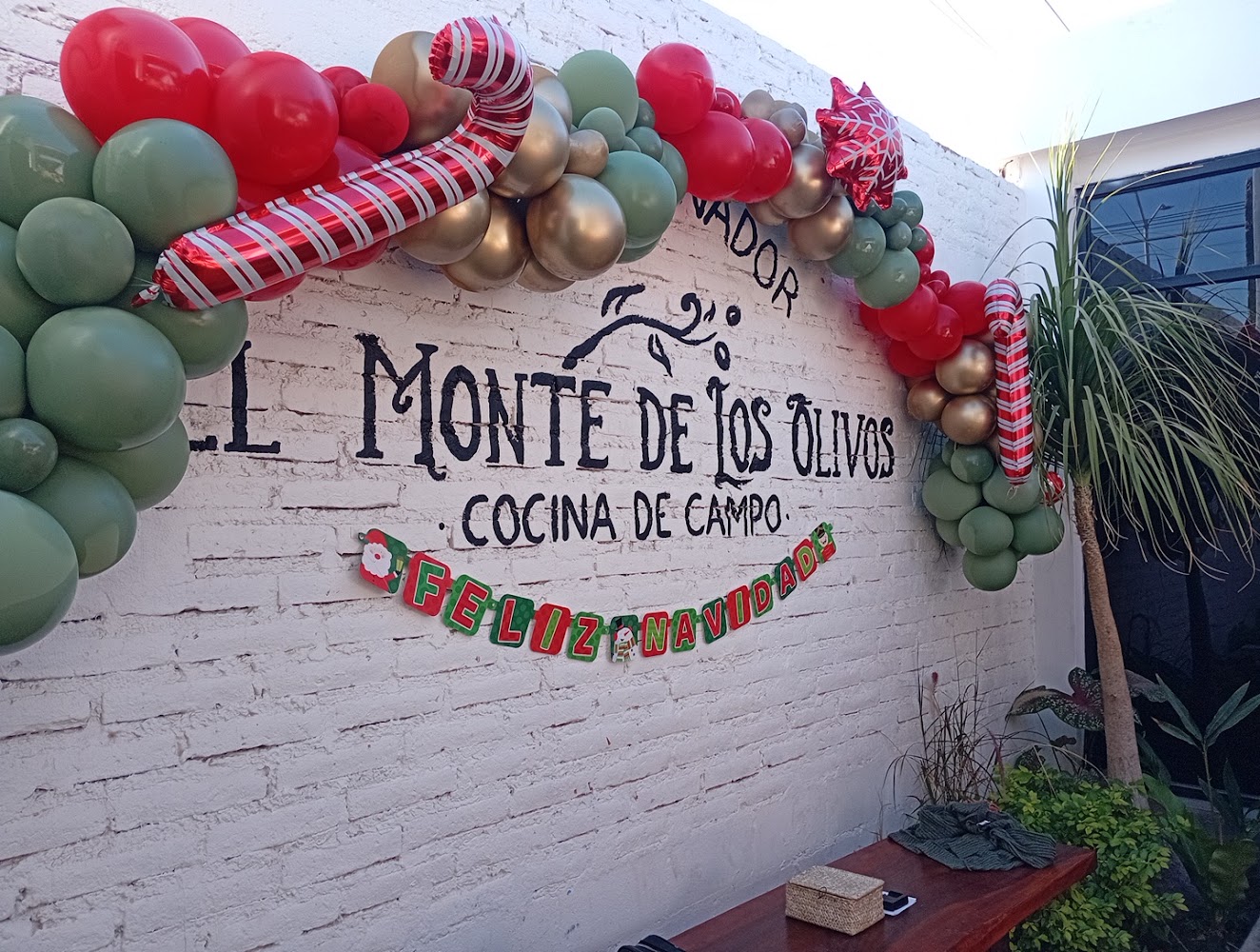 El Monte de Los Olivos / Los Mochis