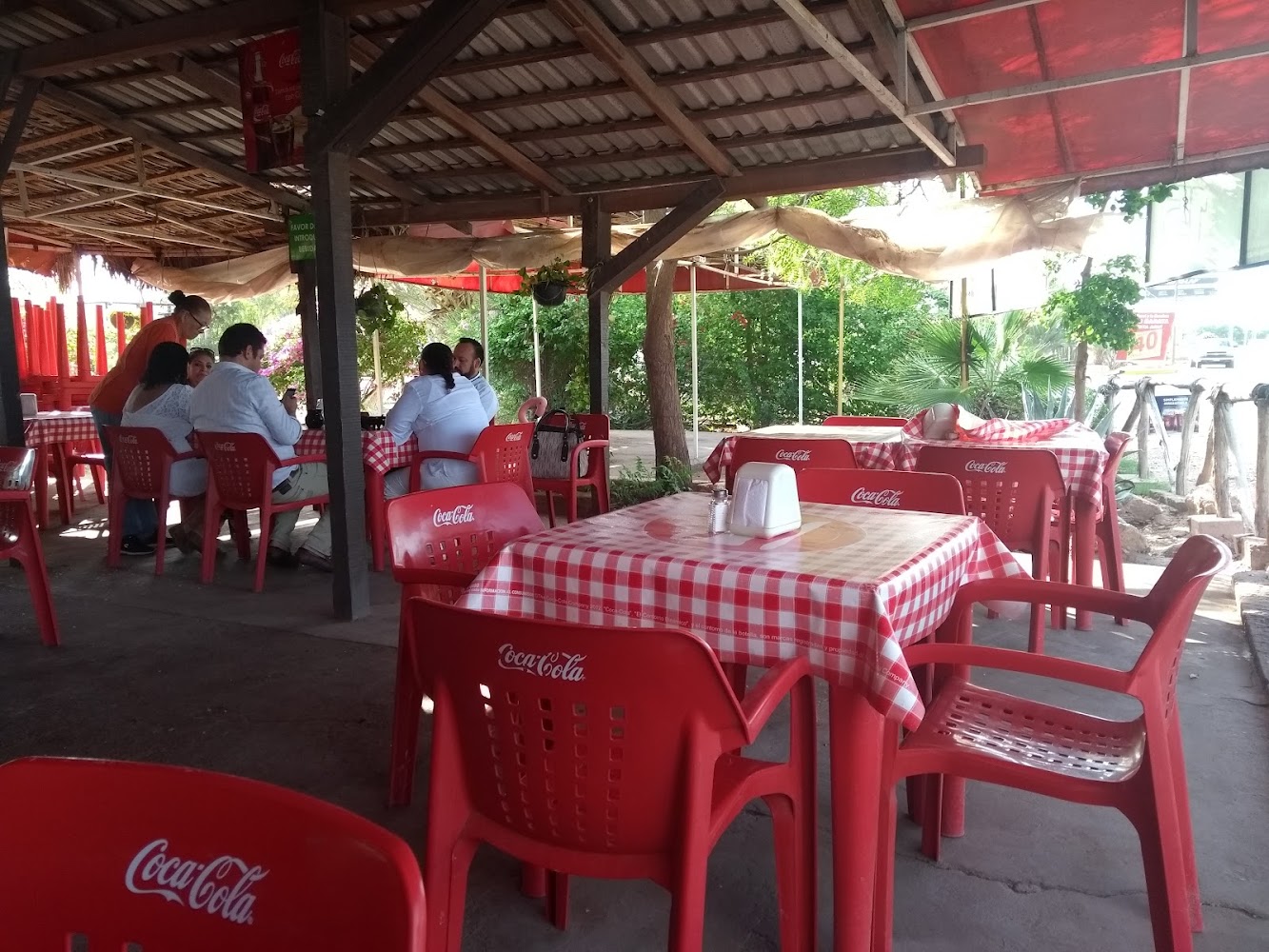 Borrego loco