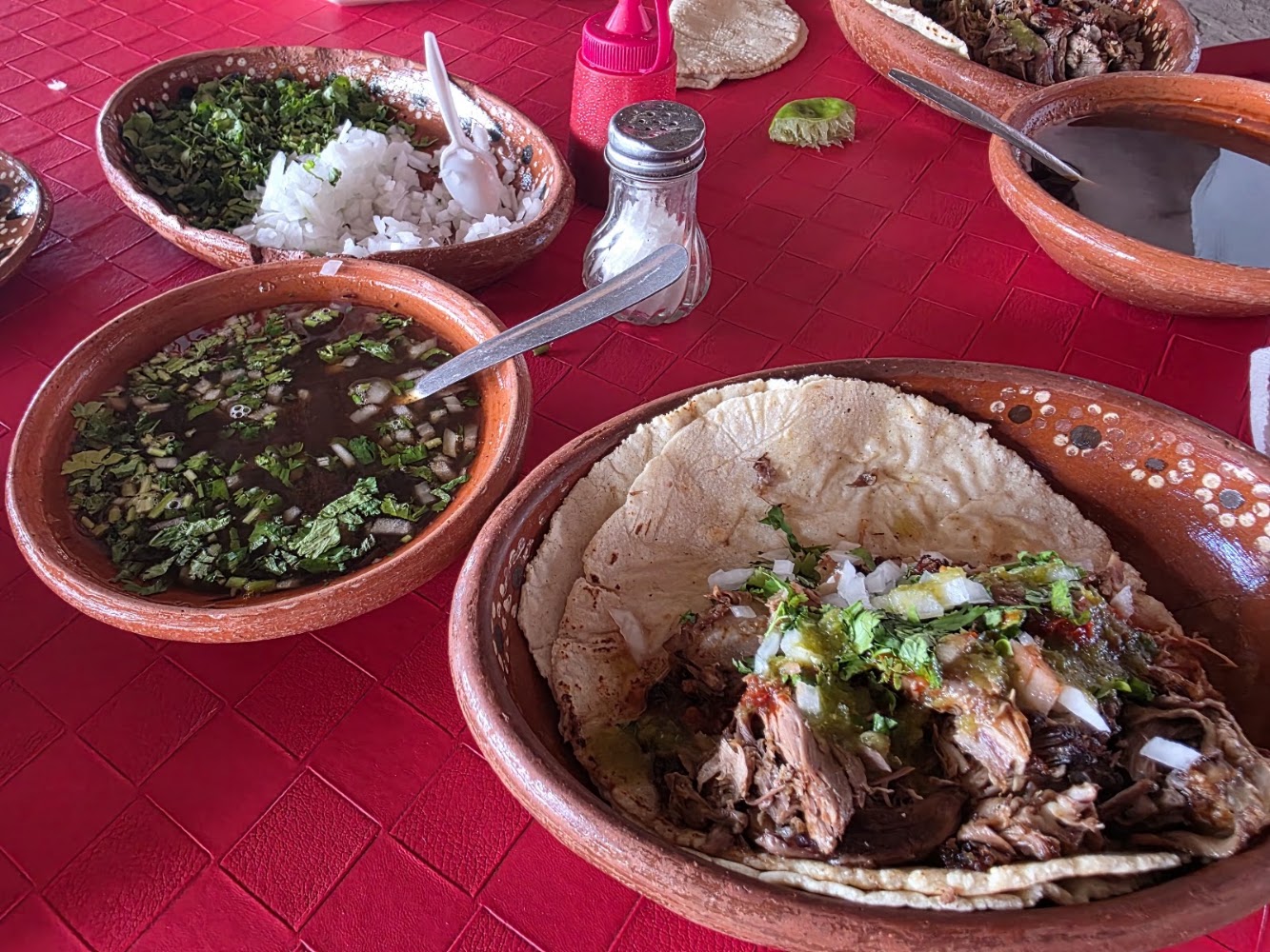 Borrego loco
