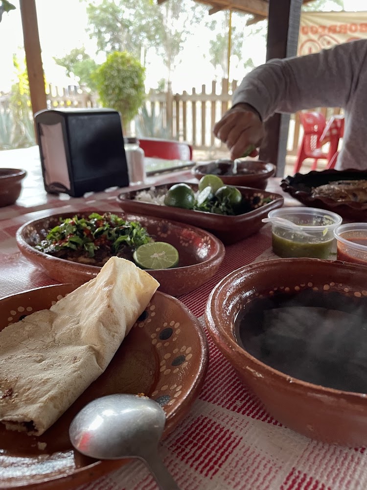 Borrego loco