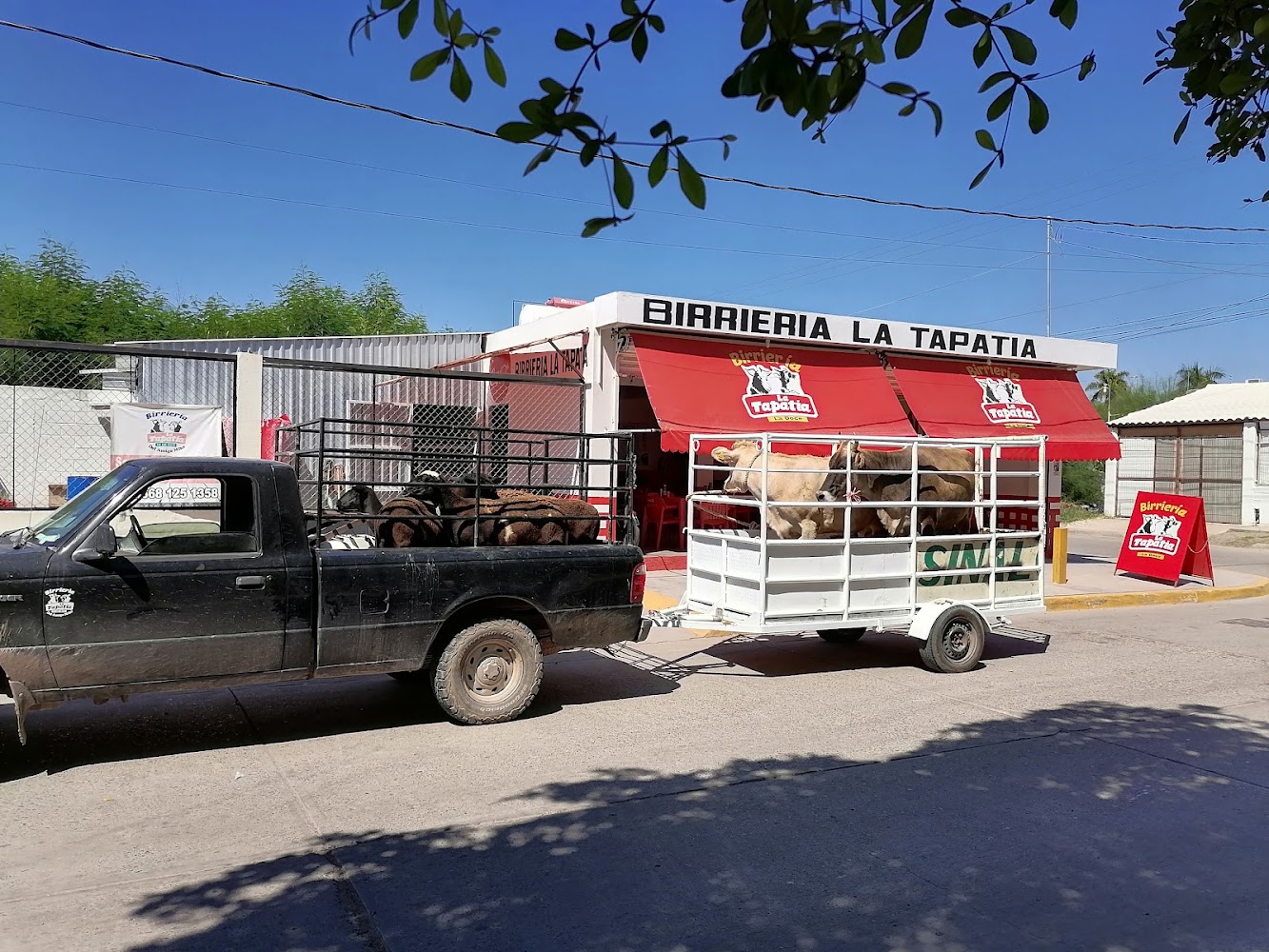 Birrieria La Tapatia