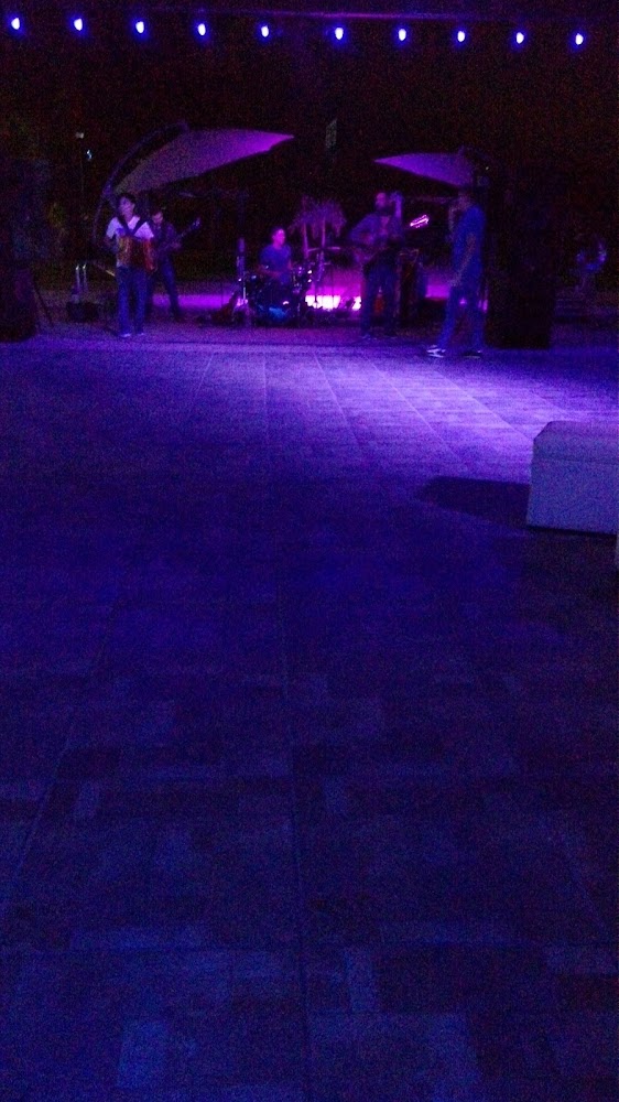 Gerfree Pool Party