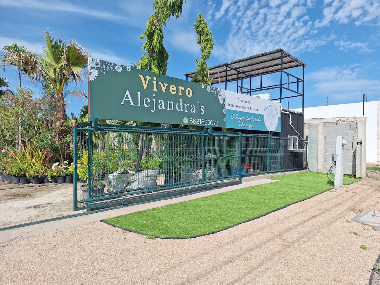 Vivero Alejandra's