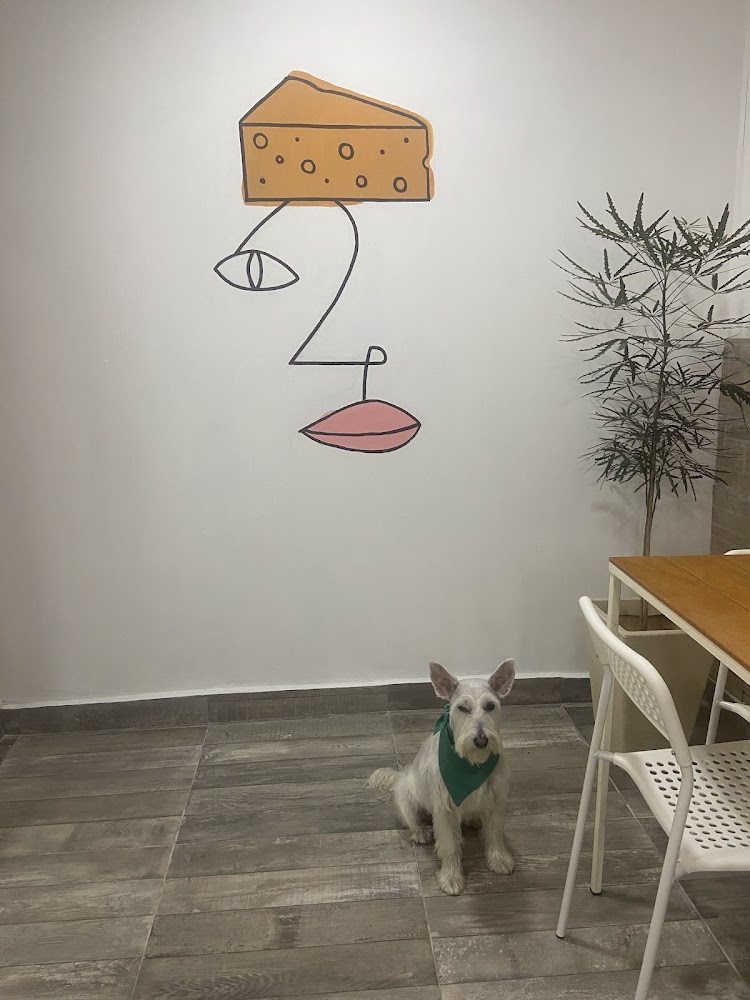 Delilys Cheese Shop