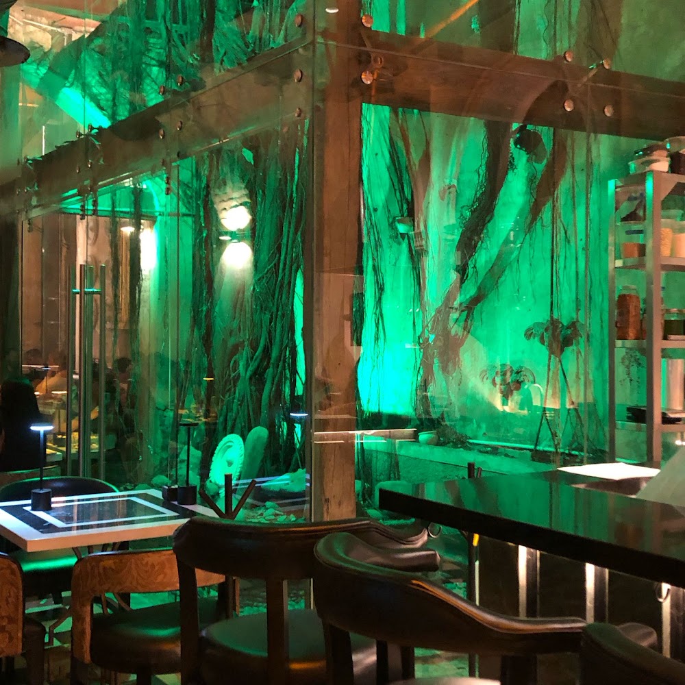 Abaco Social Bar