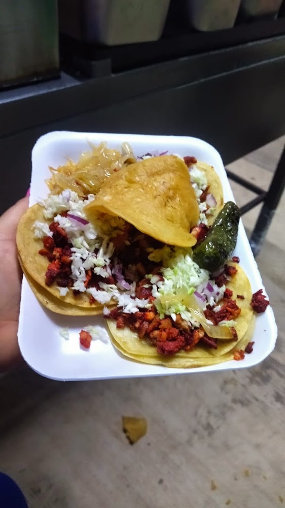 Tacos adobada el toro