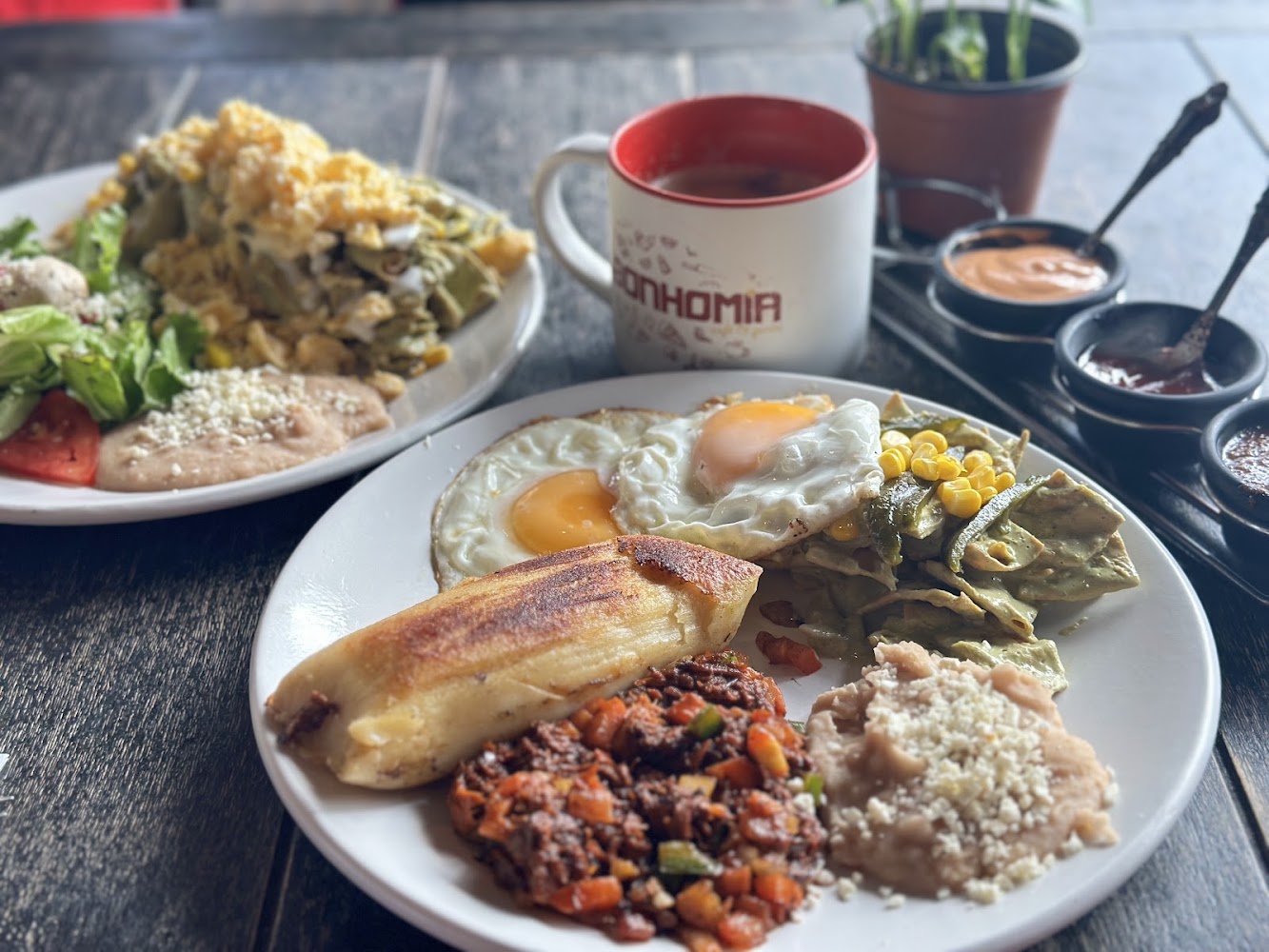 Bonhomia · Café · Pedro Infante