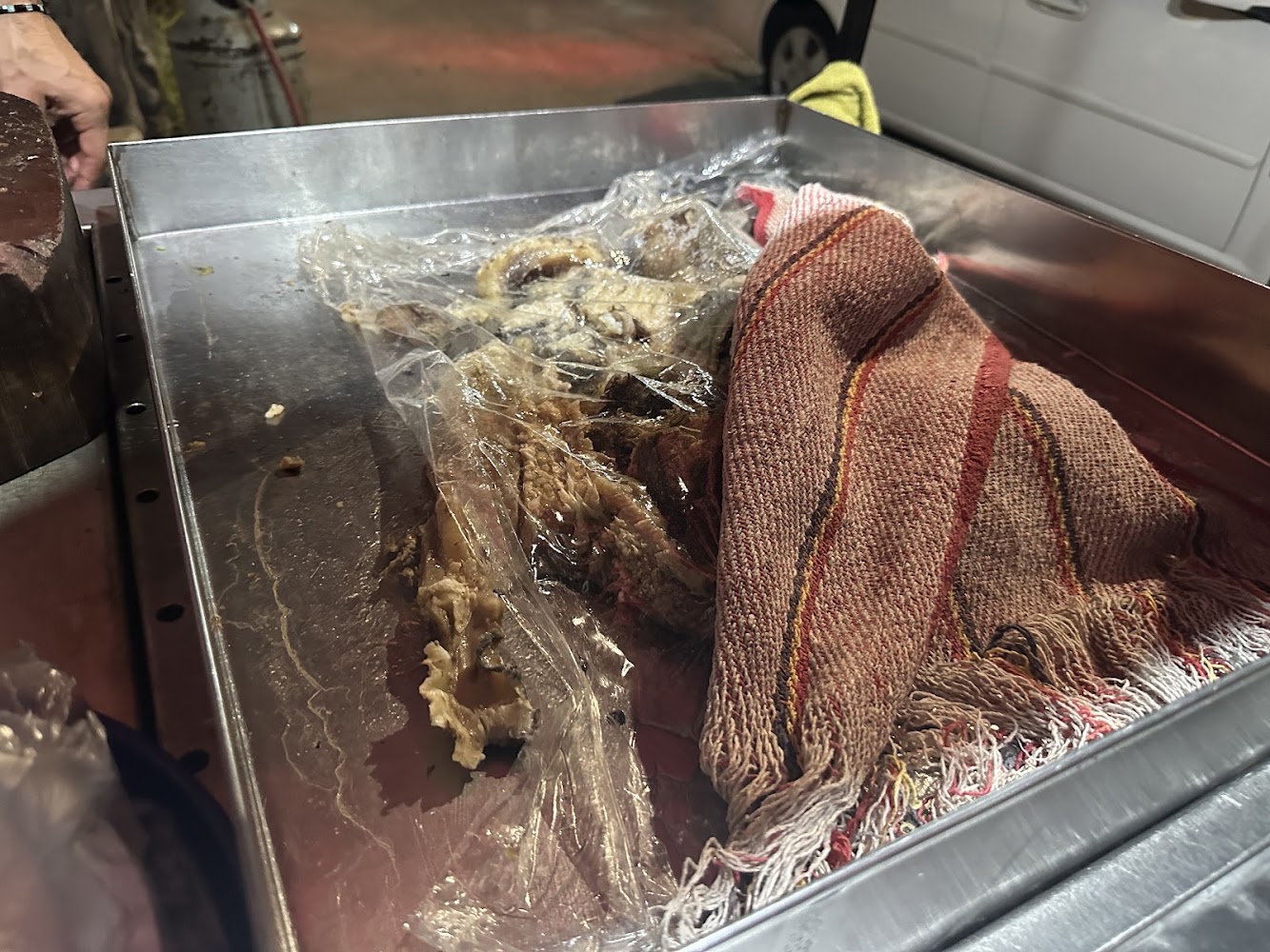Tacos El Pelón
