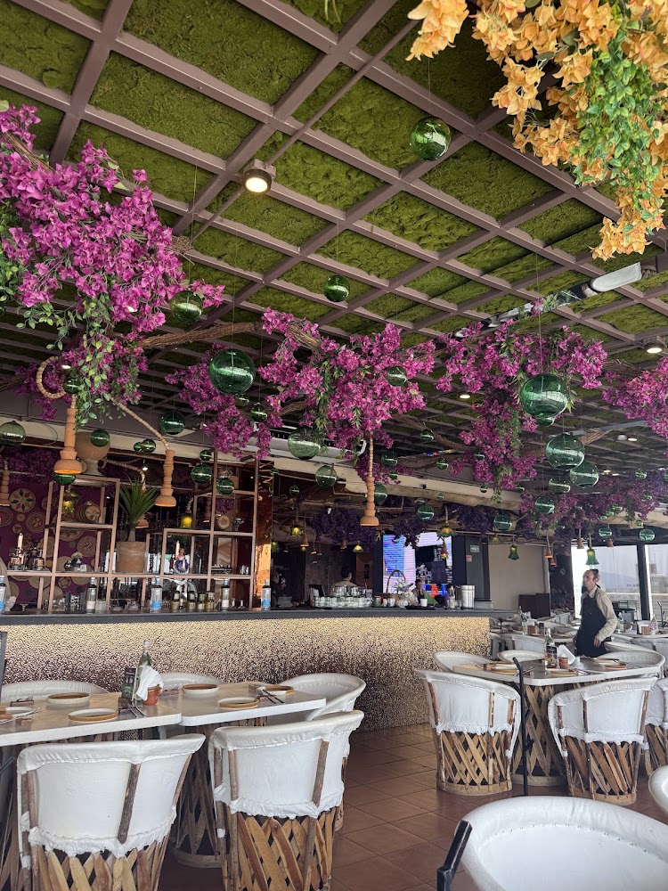 Alma Jalisco | Restaurante con vista a la Catedral GDL