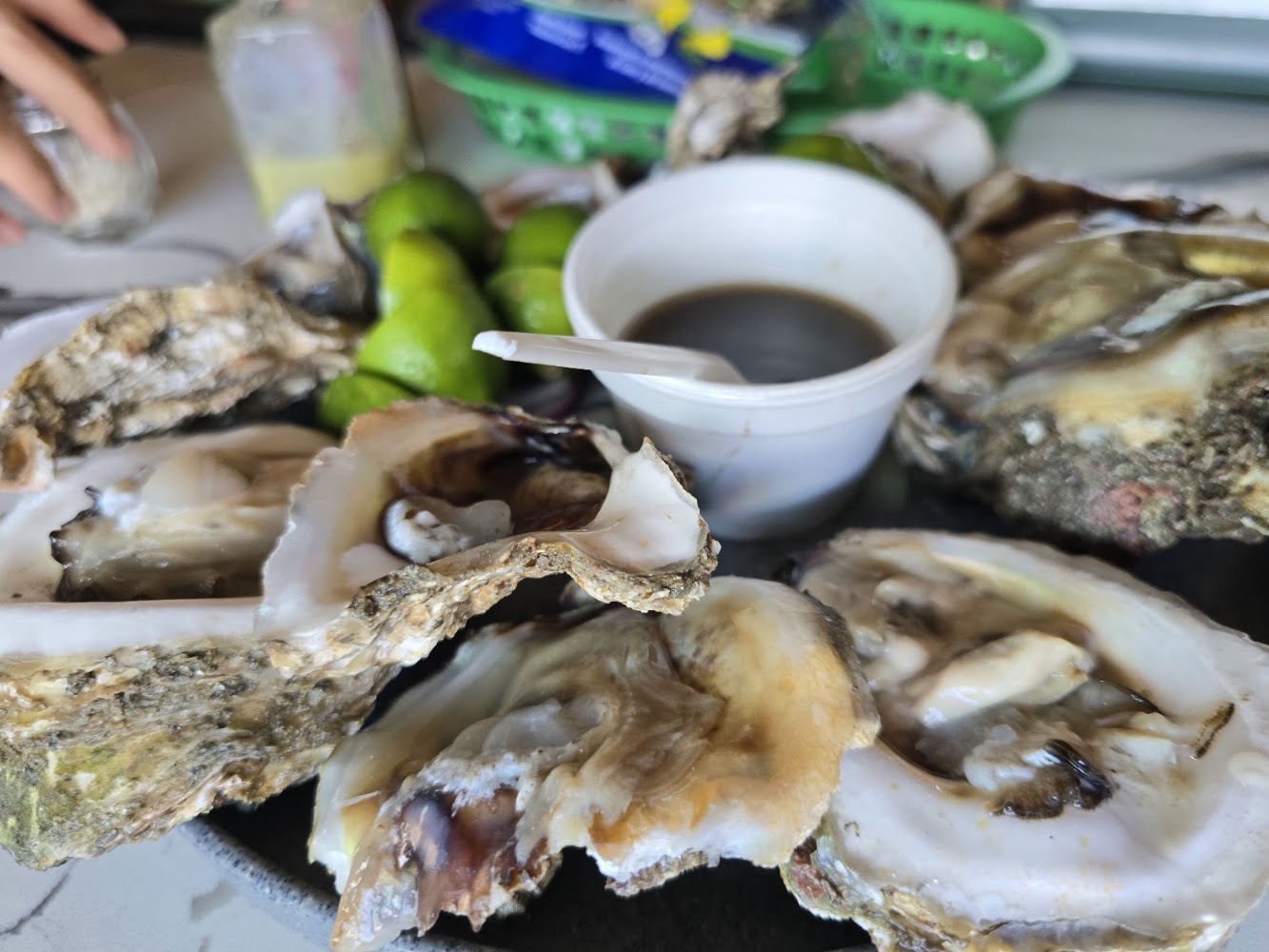 Mariscos El Memin Valle Real