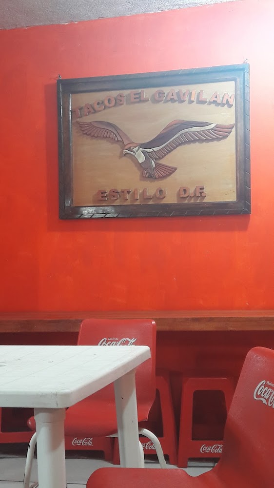 Taquería El Gavilán