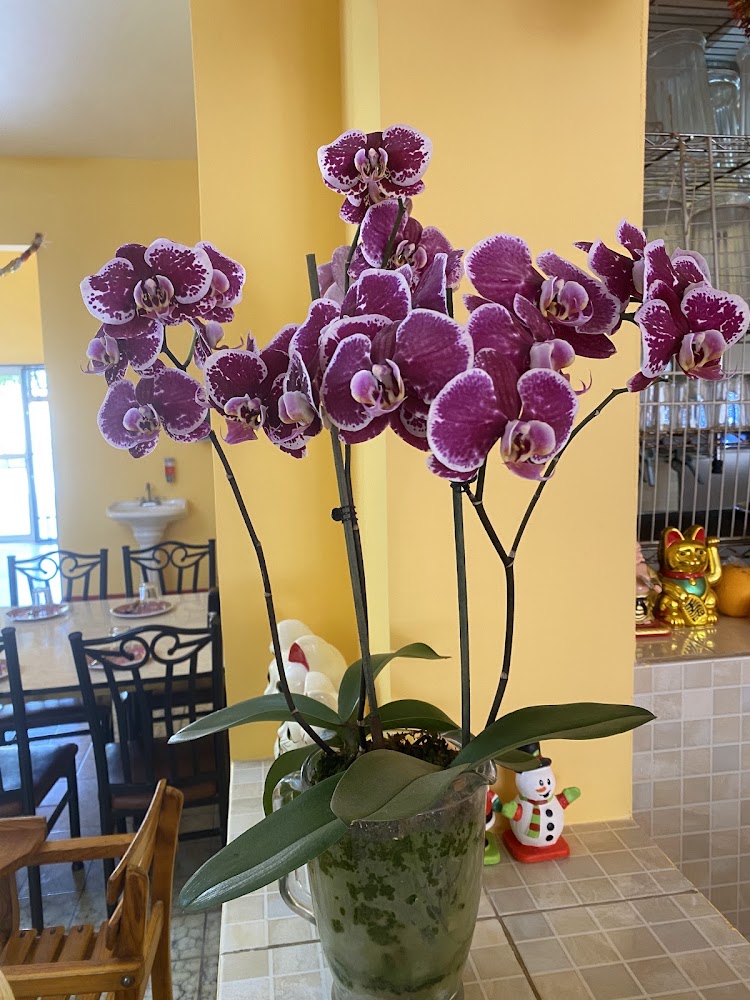 Restaurante Cin-Wah