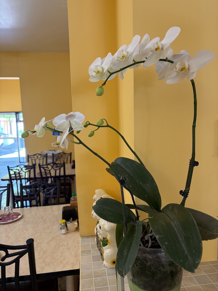 Restaurante Cin-Wah