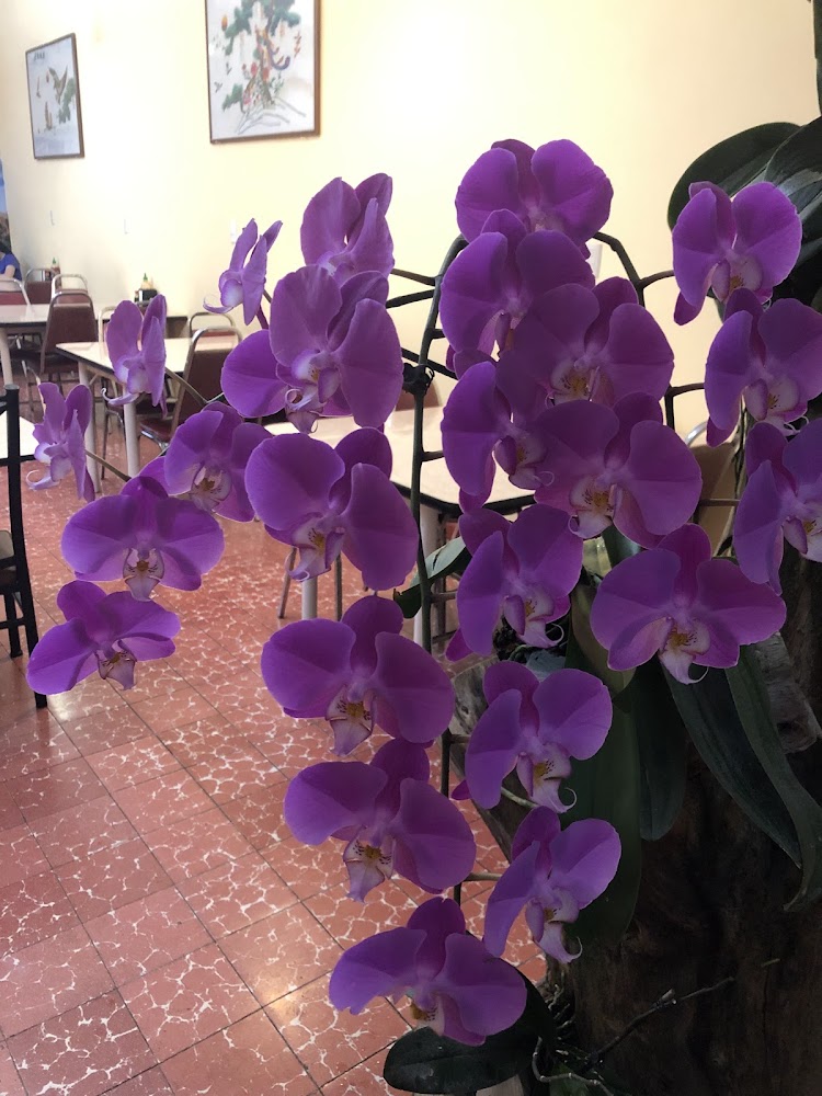 Restaurante Cin-Wah