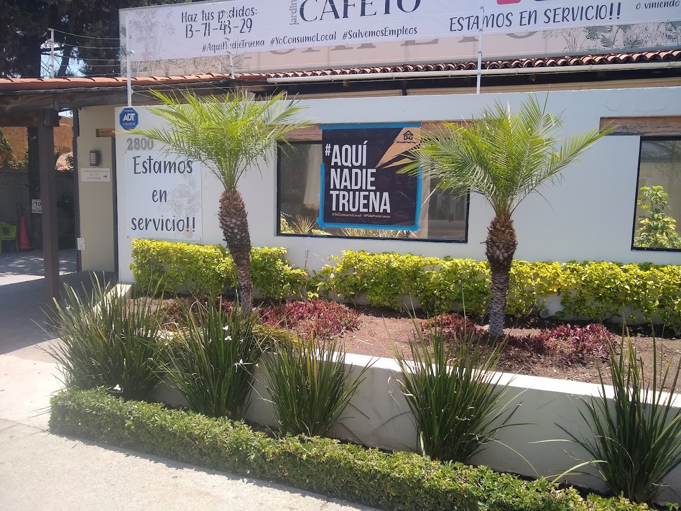 Cafeto Aviacion