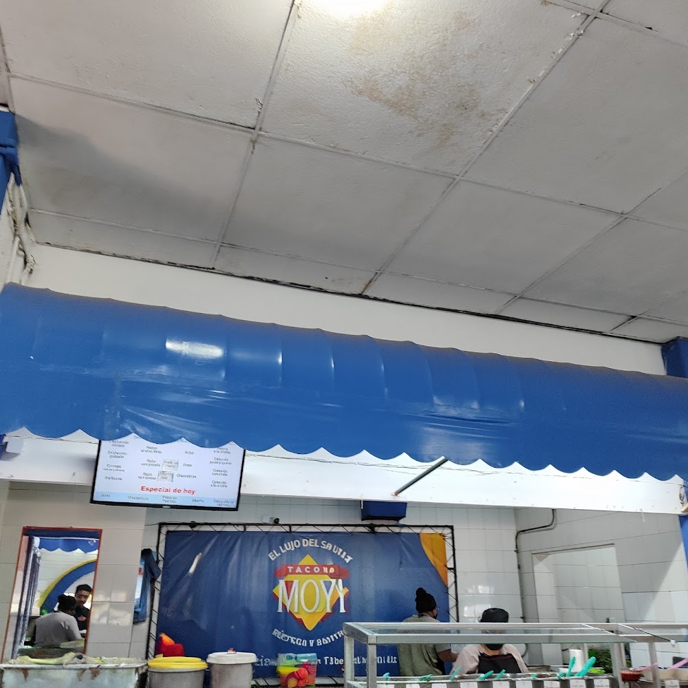 Tacos Moy